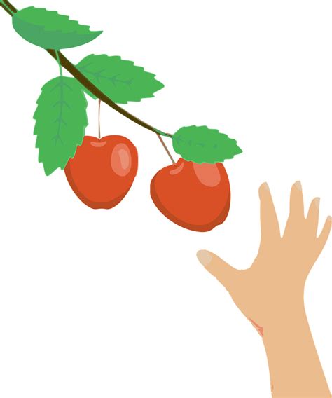 Apples Branch Hand - Free vector graphic on Pixabay