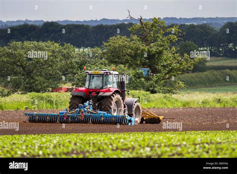 Farmer Tilling Field In Spring Soil Preparation For Salad Crops Using