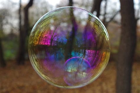 Soap Bubble Reflection Free Photo On Pixabay Pixabay