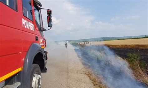 Incendiu în localitatea Tău din comuna Roșia de Secaș Un lan de grâu a