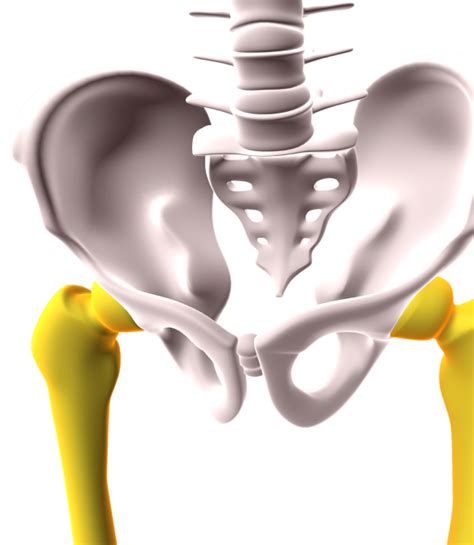 Best Hip Replacement Surgery In India A Comprehensive Guide Dr