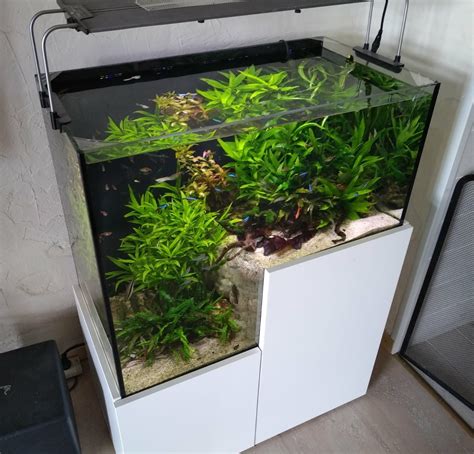 Aquarium Eau Douce 250 Litres Avec Fosse EAS Paysages Aquatiques