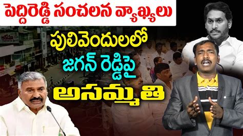 జగన్ పై పెద్దిరెడ్డి సంచలన వ్యాఖ్యలు Analyst Sudhakar On Ap Minister