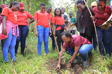 Absa Staff Plant Trees In Kabanyolo To Help Mitigate Climate Change