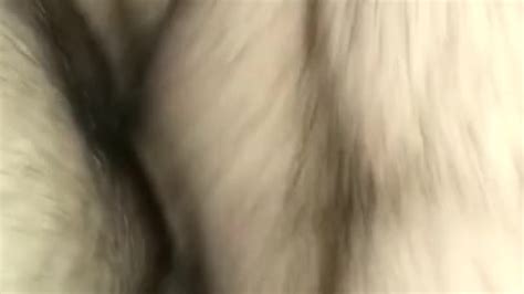 Nice Fuck After Pussy Eating Free Porn Videos Youporn