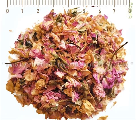Роза Дамасцена маслодайна цвят Rosa damascena 100 гр глисти | онлайн ...
