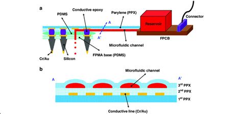 Schematic Illustrations Of The Microfluidic Neural Interface A The