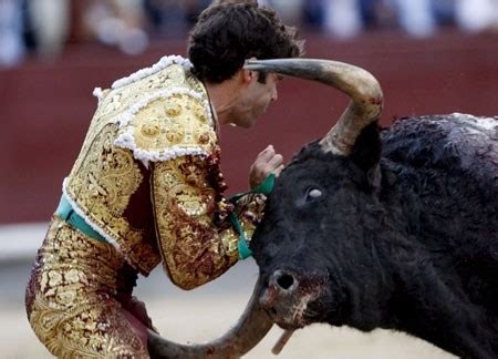 Bull Fighting: Bull Fighting Accidents