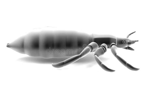 3d Render Of Louse Stock Illustration Illustration Of Louse 39773947