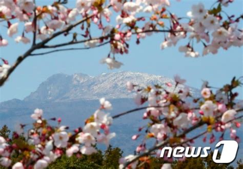 내일날씨 때아닌 꽃샘추위 미세먼지 보통~나쁨 머니s