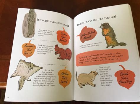 Book Review: Nature Anatomy (Julia Rothman) – spoiledmilks