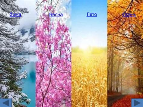 Времена года - презентация онлайн