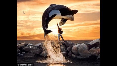 Keiko Tribute The Orca I Love Youtube