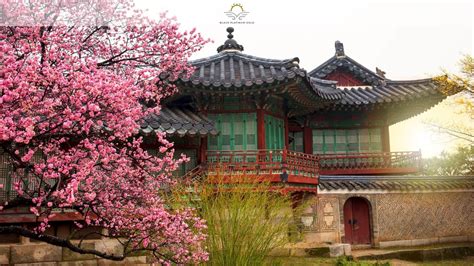 15 Things Seoul is Famous For