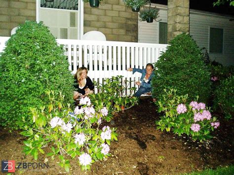 Caught Squatting ZB Porn