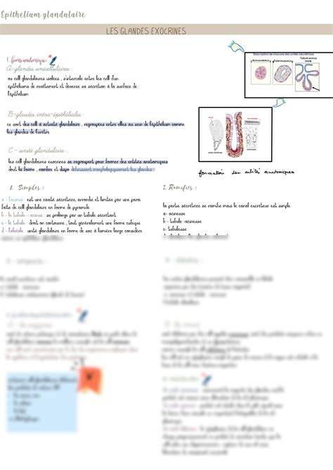 SOLUTION Histologie Partie 1 Studypool