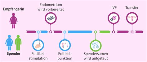 Ivf Mit Eizellen Und Samenspende Ablauf Und Kosten