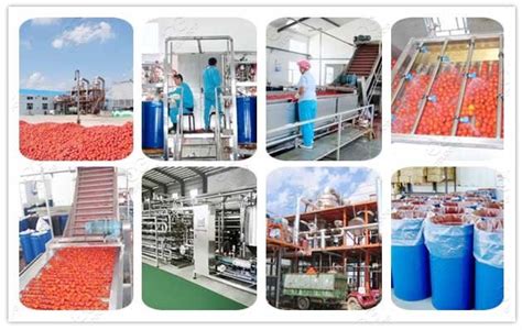 Automatic Tomato Paste Production Line Turnkey