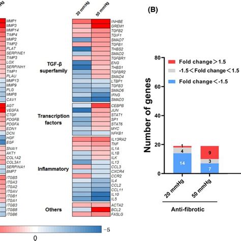 Rt Profiler Pcr Array Analysis On The Expression Of Genes Involved In