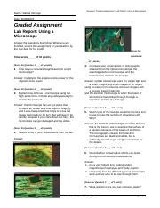 1 05 Lab Using A Microscope Odt Science Graded Assignment Lab