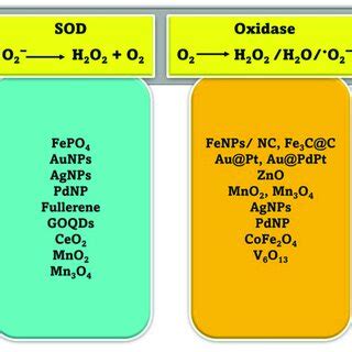 Schematic Representation Of Different Enzyme Mimicking Actions Of