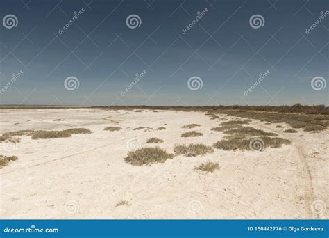 Consecuencias De La Cat Strofe Del Mar De Aral Desierto De La Sal De