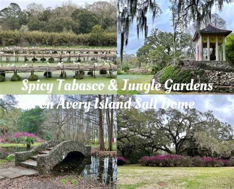 Spicy Tabasco and Jungle Gardens on Avery Island Salt Dome