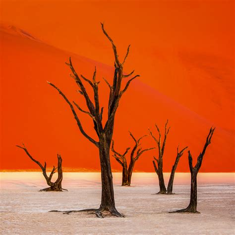 Deadvlei The Iconic African Landscape Photography Location In Namibia