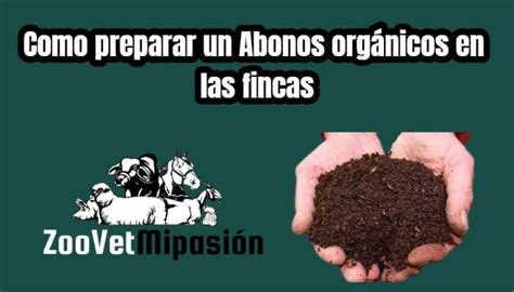 Como Preparar Un Abonos Org Nicos En Las Fincas