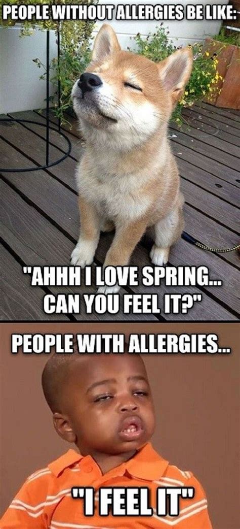 13 Things All Seasonal Allergy Sufferers Know To Be True Funny