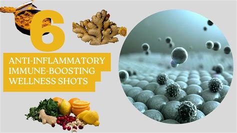 6 ANTI INFLAMMATORY IMMUNE BOOSTING WELLNESS SHOTS YouTube