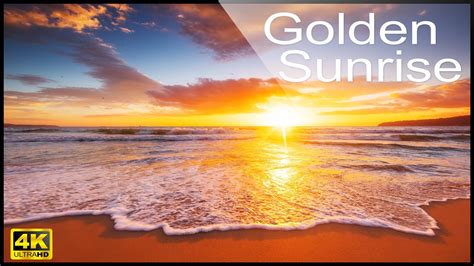 4k Golden Sunrise On The Beach Relaxing Ocean Waves Sounds And