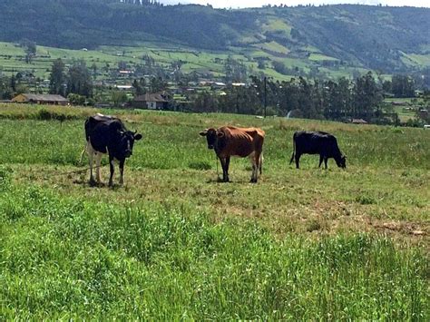 Ministerio De Agricultura Y Ganader A On Twitter Durante Su Recorrido