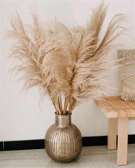 Pampas Grass Pampas Grass Decor Dried Flowers Grass Decor