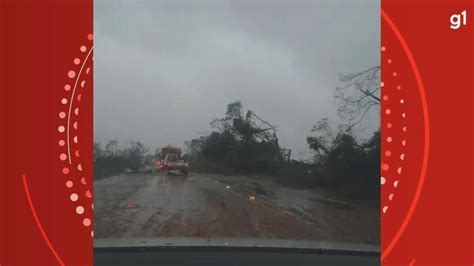 Chuva e vento provocam destelhamentos e quedas de árvores no RS veja