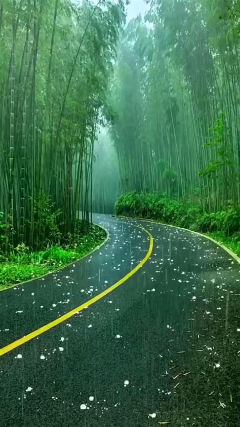 A Rainy Day🌧️ | Nature photography, Landscape photography, Amazing ...