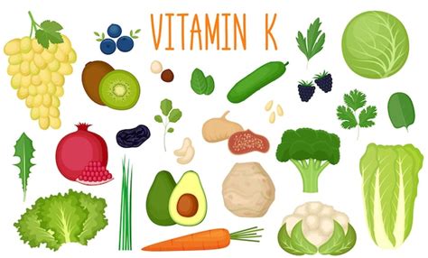 Premium Vector | Set of vitamin k sources. healthy food. collection of vegetables, fruits ...