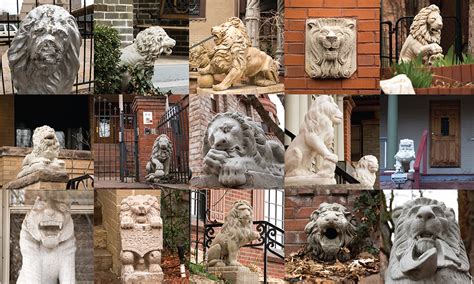 The Stone Lions Of Capitol Hill Are Relics Of A Historic Effort To Look