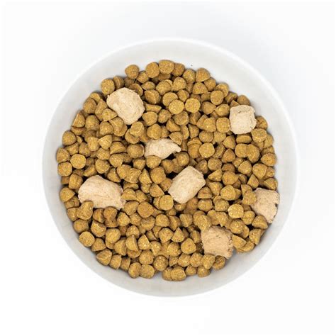 Stella & Chewy's Small Breed Raw Blend Dog Kibble – HEALTHY SPOT