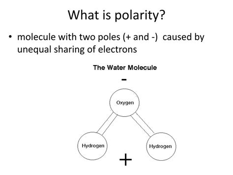 PPT - Polarity and Intermolecular Forces PowerPoint Presentation, free ...