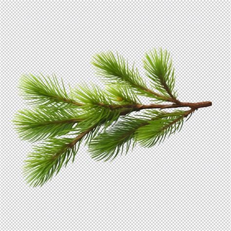 Premium PSD | Isolated christmas pine tree branches and decoration