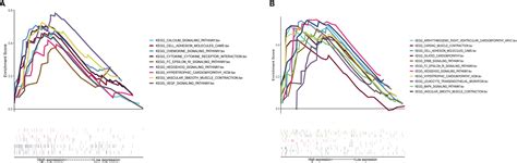 Frontiers Identifying Hub Genes Of Calcific Aortic Valve Disease And