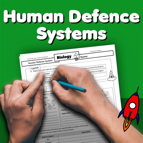 Human Defence Systems Home Learning Worksheet GCSE Rocketsheets Co Uk