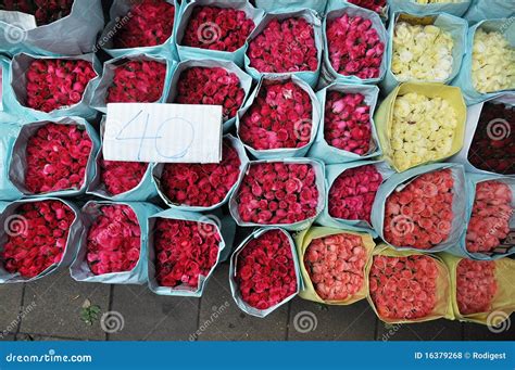 Rose Flower Group Market Stock Photo Image Of Beautiful 16379268