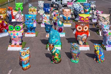 Could You Care For An Owl Or A Pussy Cat Sculpture Knowsley News