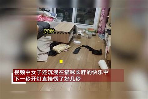 猫咪在家独居一个月胖3斤主人惊喜后一开灯愣好几秒你干了啥