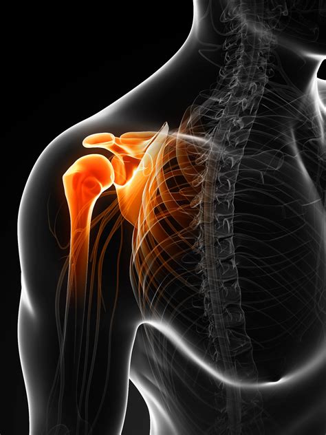 Dolor De Hombro - eFISIO Fisioterapia Madrid