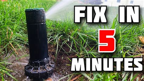 How To Replace A Sprinkler Head In Minutes Orbit Hunter Rainbird