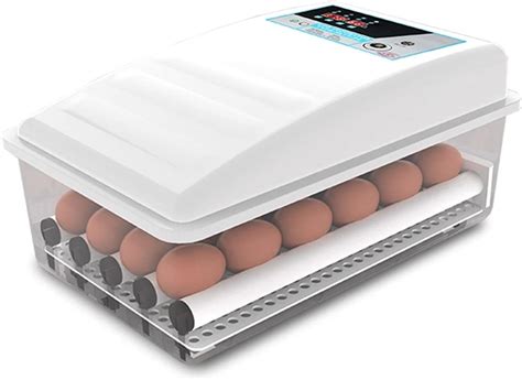 Amazon Automatic Eggs Incubator Digital Mini Egg Incubator With