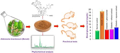 Biomolecules Free Full Text Potential Antidiabetic Activity Of